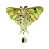 Enesco Selene Moth Wall Clock