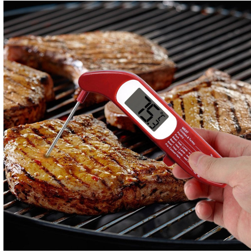 Thermomètre numérique pliable Danesco 