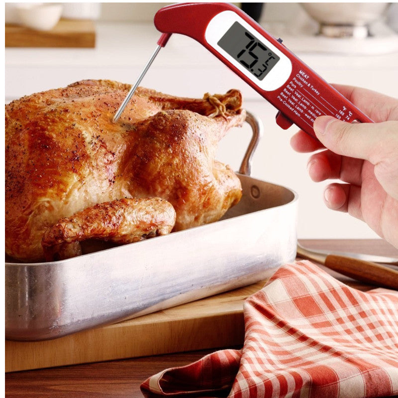 Thermomètre numérique pliable Danesco 