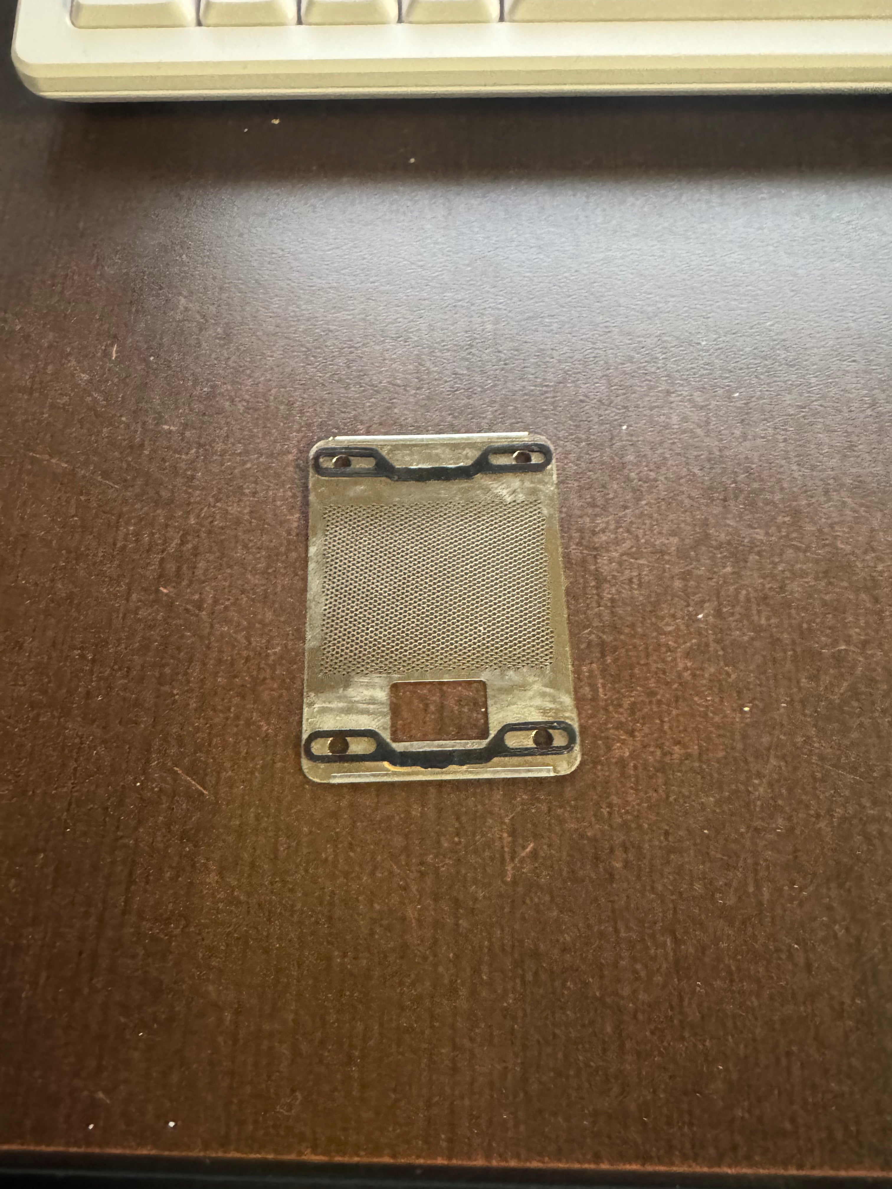 |Braun lady Braun Foil