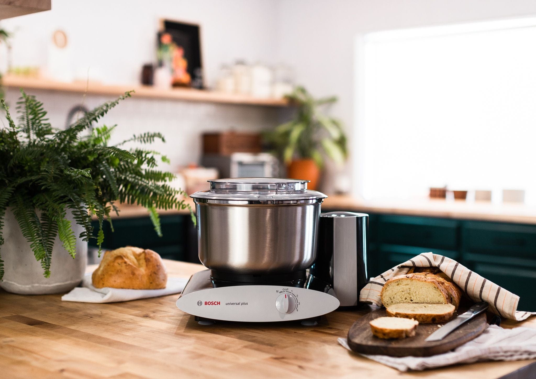 Bosch Mixer |  Does the work so your hands or wrists do not have to!!!   Start Baking again!