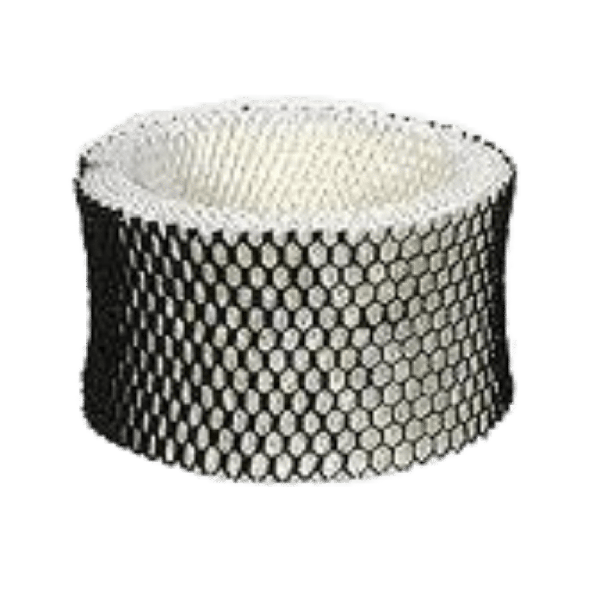 Humidifier Filter HWF62 - Fits Multiple Models